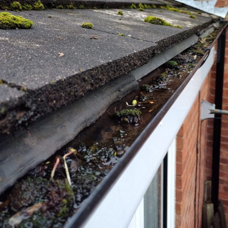 A hand holding a black pipe filled with intertwined roots and dirt.